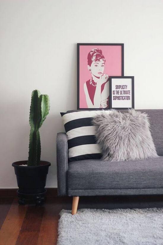 Cactos na decoração da sala